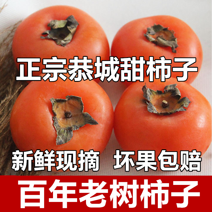 正宗恭城甜柿子8.8元一箱