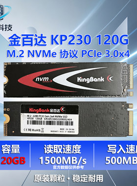金百达KP230120GNVMeSSD