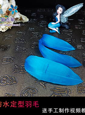 娘娘点翠浆好羽毛色泽光亮