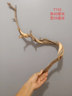 北太行崖柏毛料原木陈化红白双色扭曲骨客厅摆件手串笔挂造型树枝