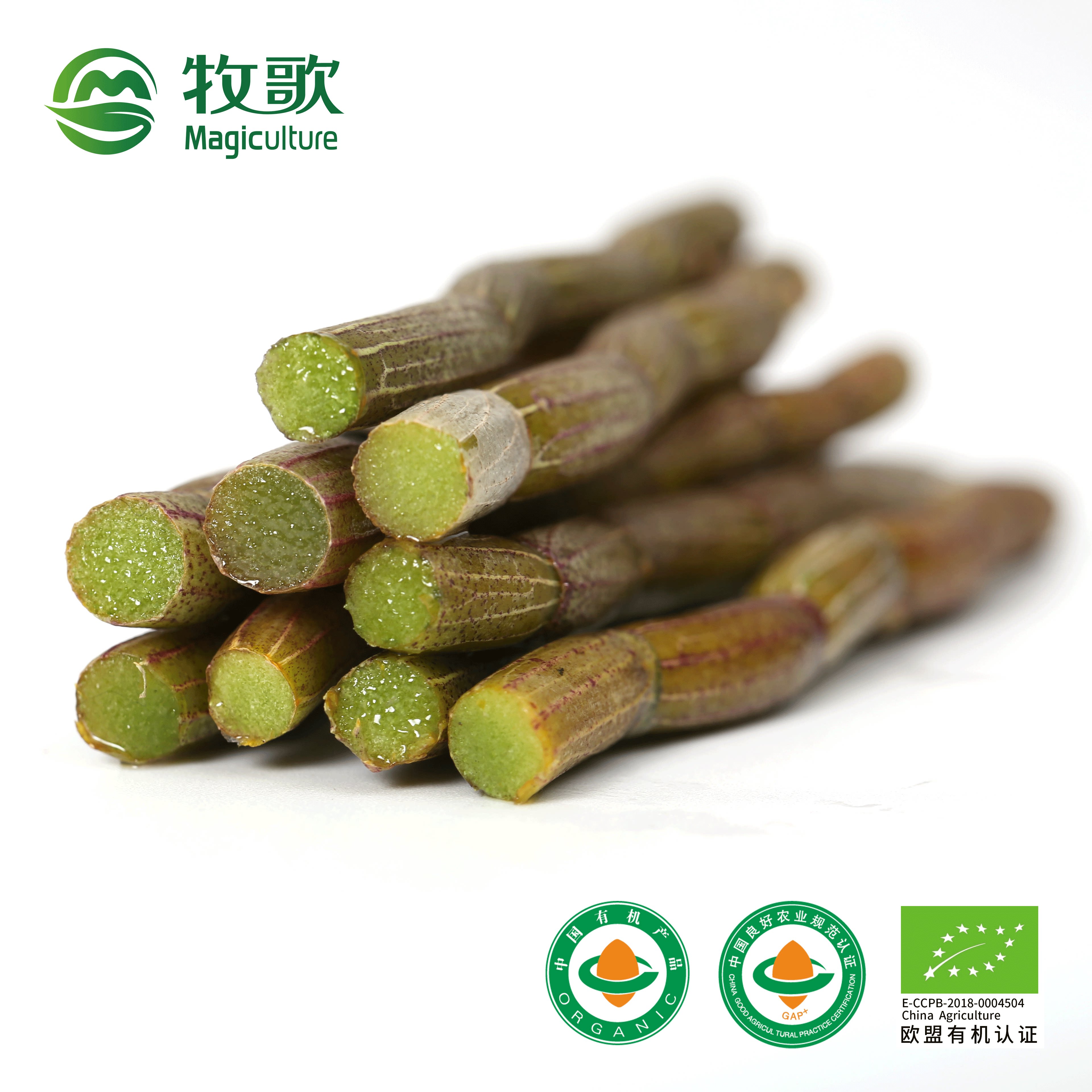 牧歌铁皮石斛不带叶鲜条欧盟有机霍山种源三年石斛枫斗