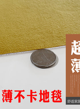 超薄不卡门2mm入户门玄关地垫可裁剪吸水家用进门口垫子1mm薄地毯