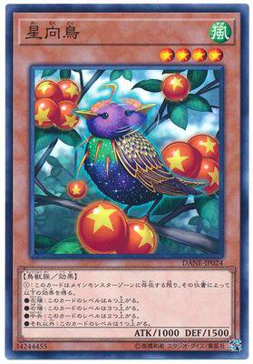 【假面卡牌】游戏王 N平卡 星向鸟 1008 DANE 日版