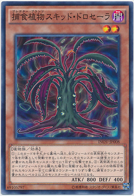 【假面卡牌】游戏王 N/NPR 捕食植物 鱿鱼茅膏菜 910 SP6 日版