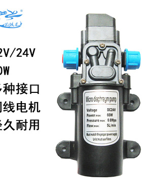 电动隔膜泵12V24V60W洗车植保机喷雾器打药直流自吸家用增压水泵