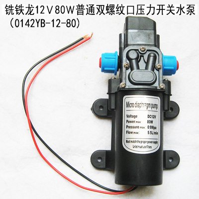 新品家用增压隔膜泵农用打药洗车泵自吸12V24V80W直流微型电动抽