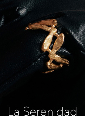 La Serenidad原创设计手工纹理罗马数字V形造型情侣经典纯银戒指