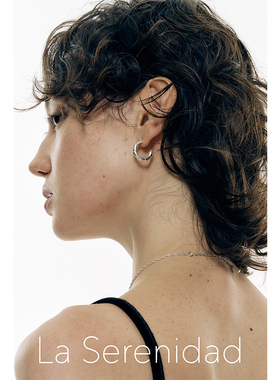 LaSerenidad素圈层次感线条时尚简约通勤百搭原创设计师耳环女