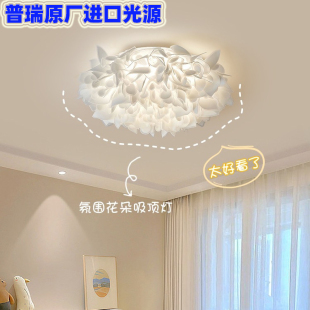 羽葉花瓣浪漫中山吊燈具 羽毛主臥室吸頂燈簡約奶油風客廳2024新款