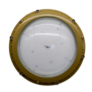 雷士照明NFE524 LED防爆平台灯铝合金电厂加油站IP6620W30W50W70W