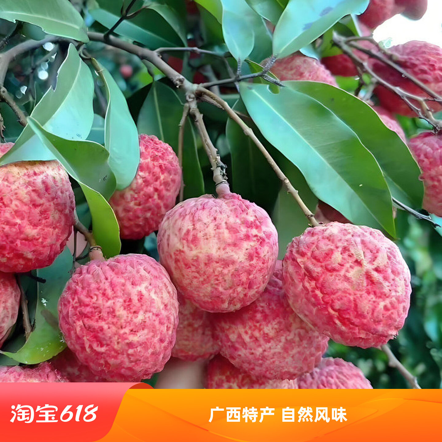 广西糯米糍荔枝现摘大果礼盒装