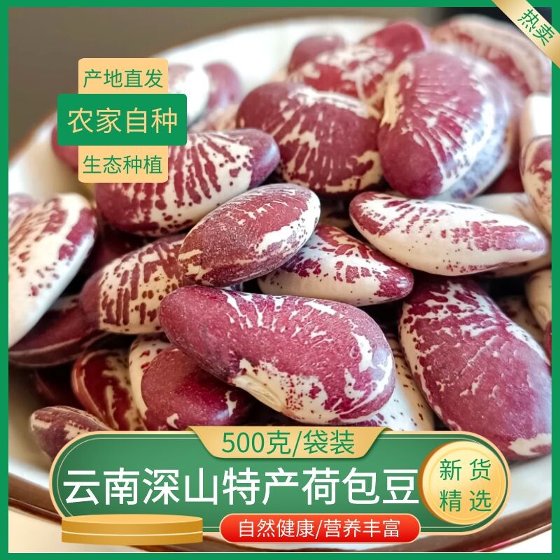 新货云南高原深山农家自种荷包豆美味营养杂粮肾豆状元豆花纹豆富