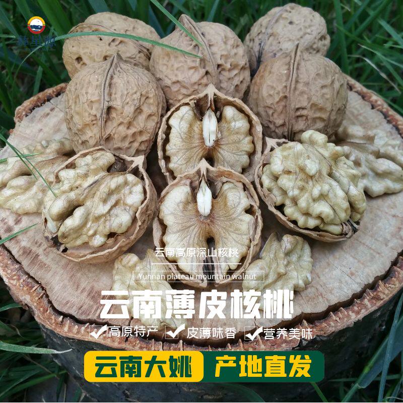 新货云南核桃薄壳彝星源薄皮核桃