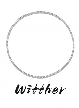 Witther小众设计满钻轻奢百搭项链秋冬高级感925纯银满天星锁骨链