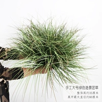 Большая зеленая группа по озеленению ручной работы травы