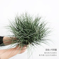 Глубоко зеленый круг трубы