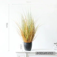 Маленькая осень чистая трава горшка