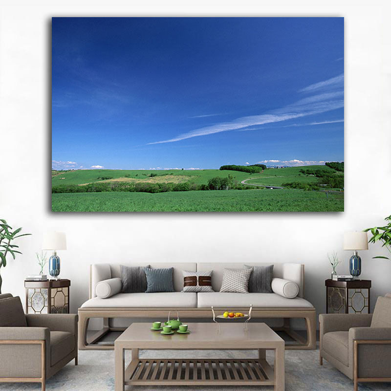 绿色草地风景画大草原挂画蓝天白云自然景色海报壁画