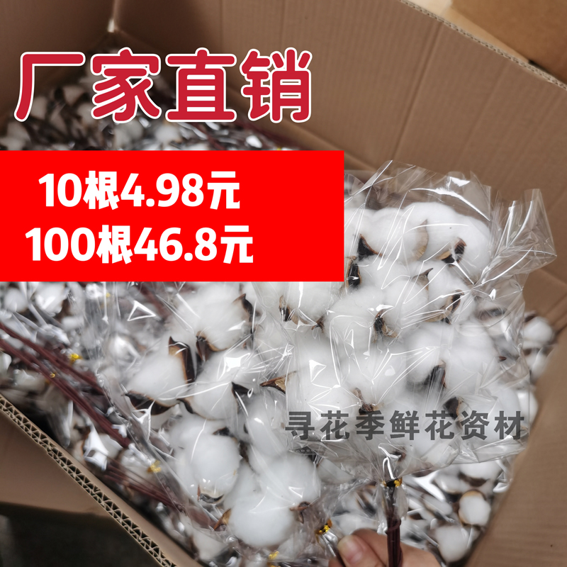 单支单朵天然棉花圣诞节花束