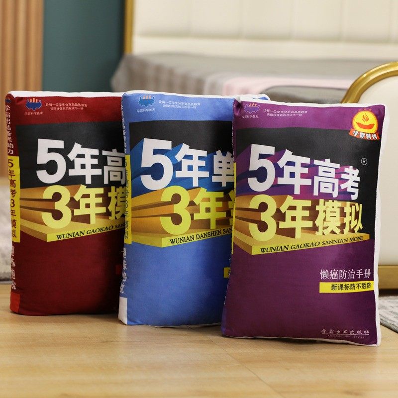 五年单身三年当狗学生生日礼物抱枕创意仿真五年高考三年模拟靠垫