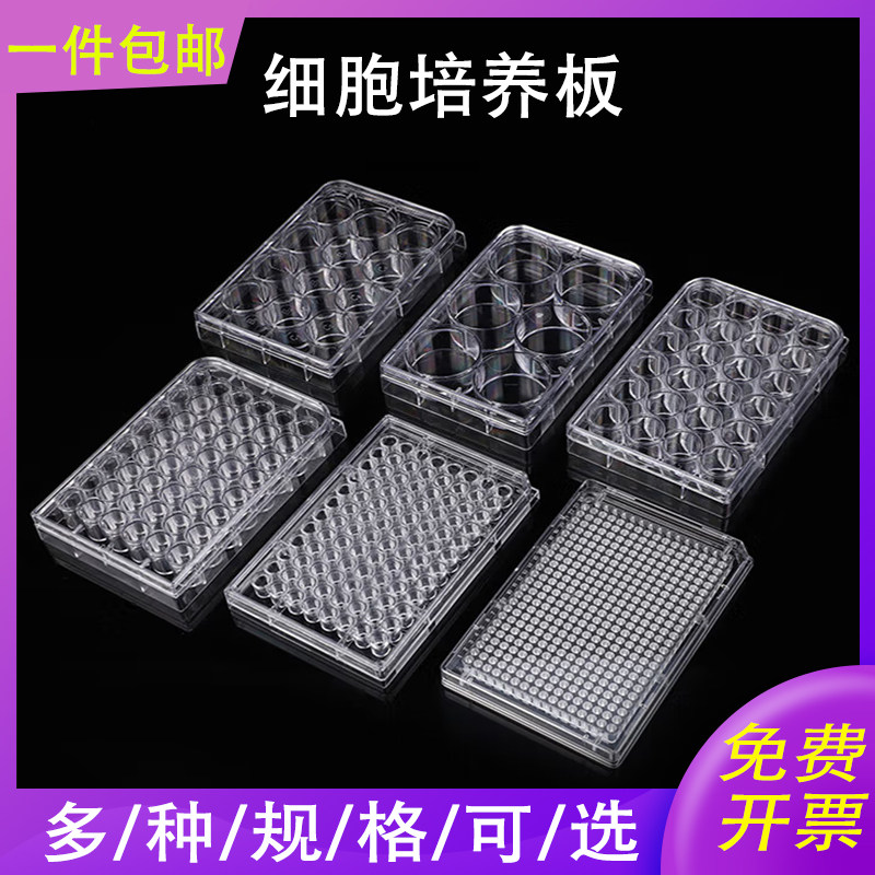 6/12/24/48/96/384孔细胞培养板细菌培养板甄选实验室灭菌独立装