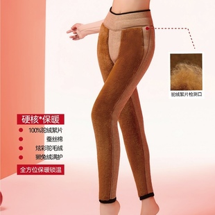 绒裤 高腰护膝护腰棉裤 850克 超厚过冬保暖裤 斯丽芬68535女士驼绒裤