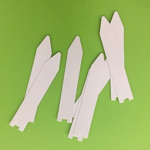 塑料标签 12MM 现货 20元 花卉品名标卡 100个 空白塑料花卡