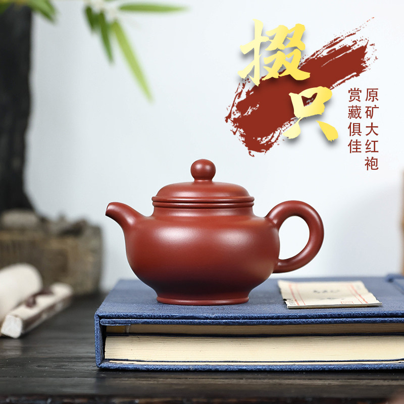 宜兴紫砂壶家用泡茶壶纯全手工壶茶具谢晓东原矿朱泥大红袍得子壶