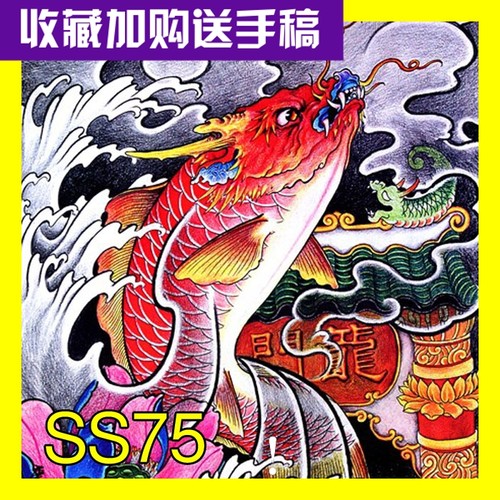 纹身手稿彩色图案线稿鲤鱼图纹身图片中华锦鲤刺青满背器材SS75