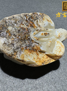 方言和田玉新疆罕见戈壁料五彩玉黑油皮白皮洒金皮白玉龙龟把件S