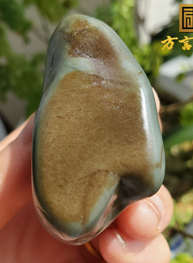 方言特惠精品近一口气牌子形聚金鹿皮老气蓝色沙枣青原石籽料O