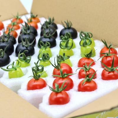 新鲜现摘四色小番茄圣女果西红柿