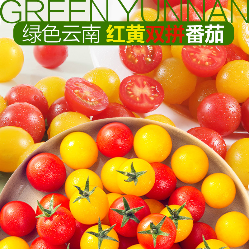 新鲜现摘樱桃番茄红黄双色蜜茄沙拉代餐水果番茄礼盒装顺丰包邮