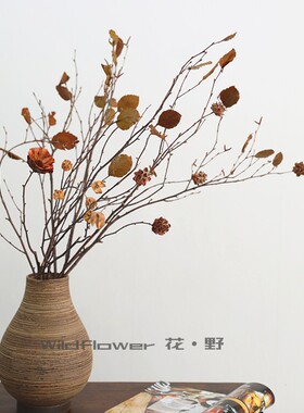 天然真树枝叶干花侘寂风陶瓷花瓶