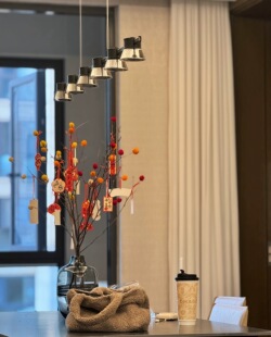 红色红果天然干花支真树枝喜庆新年新居客厅玄关商场陶瓷花瓶插花