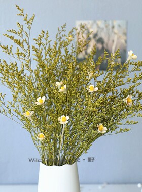 云南永生情人草白色紫罗兰干花草现代田园风清新北欧ins装饰插花