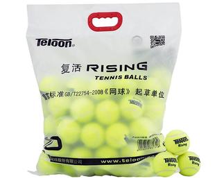 Teloon天龙网球袋装训练球603复活rising801ace初学比赛网球耐磨