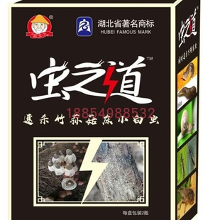 竹荪羊肚菌黑皮鸡枞菌床菇床小白虫鼻涕虫蜗牛专用虫之道