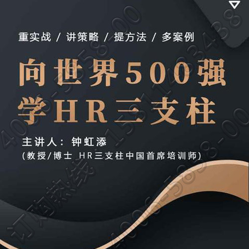 正版包票向世界500强学HR三支柱钟虹添网络音频课程非dvd燕园7