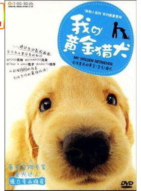 百科音像狗狗小百科我的黄金猎犬DVD