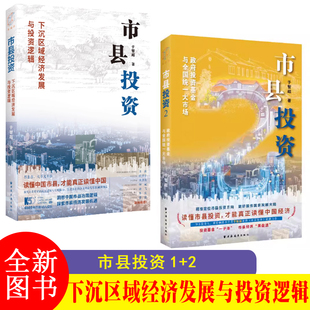 【全2册】市县投资2+市县投资1：政府投资基金与全国统一大市场 下沉区域经济发展与投资逻辑 上海远东出版社 解读中国经济图书