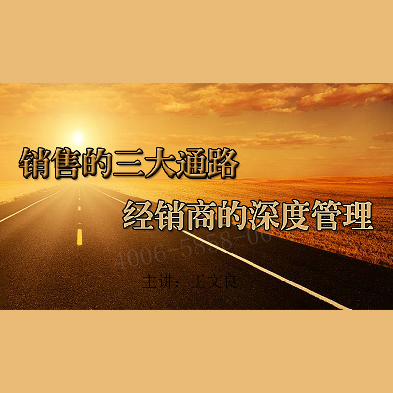 正版包票王文良 销售的三大通路 经销商的深度管理视频课程非DVD