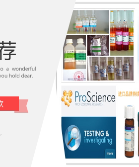 GBW(E)020015铅黄铜成分分析标准物质-标物中心