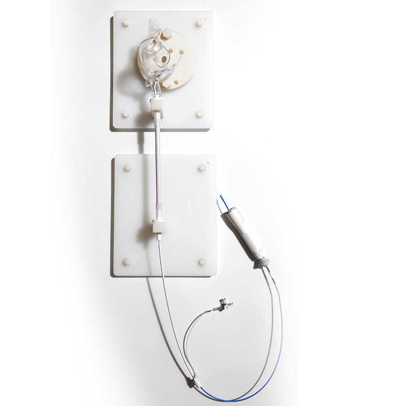 enovo颐诺人体右心房介入训练台心血管微创介入训练模型 内窥镜介