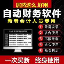 系统公司做账记账代理账 小企业会计excel单机财务软件自动网络版