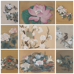 宋画花鸟临摹课免费送购线稿即送唐辉建老师中国画工笔画专业教学