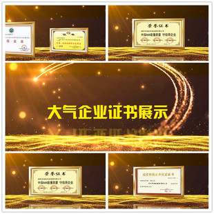 PR企业公司画册奖牌发明颁奖图文业绩照片简洁证书展示