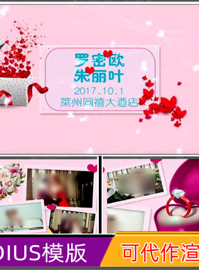 EDIUS678模版浪漫唯美婚礼电子相册婚庆迎宾mv韩版婚礼片头