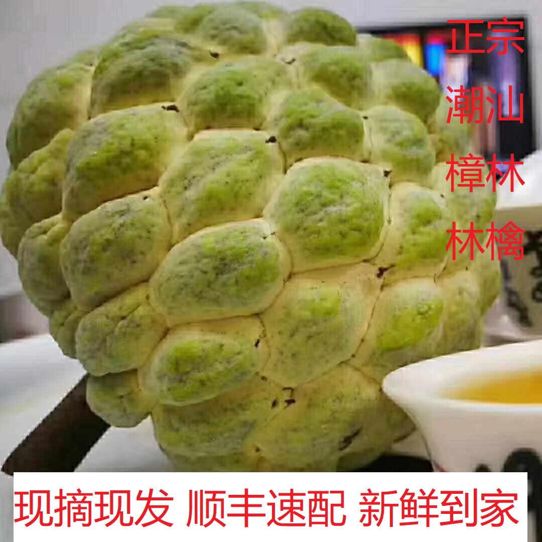 潮汕正宗樟林林檎广东优稀名果现摘现发新鲜到家