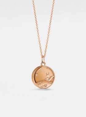 美国代购Locket▽手作小巧精致星星月亮狐狸圆盘吊坠纯银镀金项链